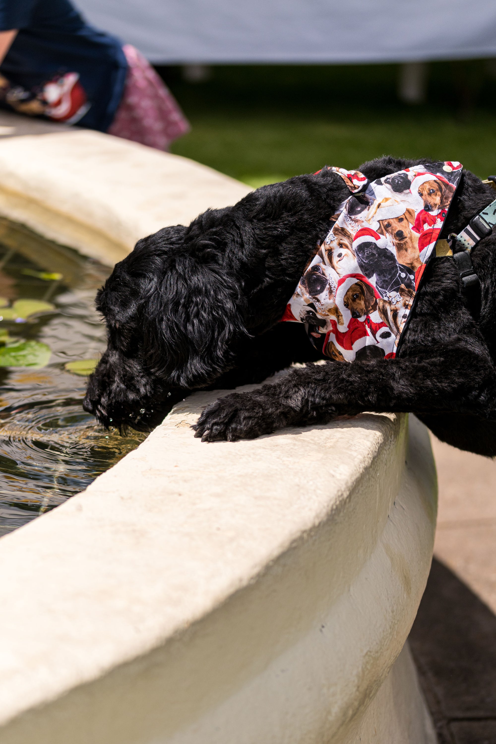 Summer Fun: Expert Tips to keep cool
