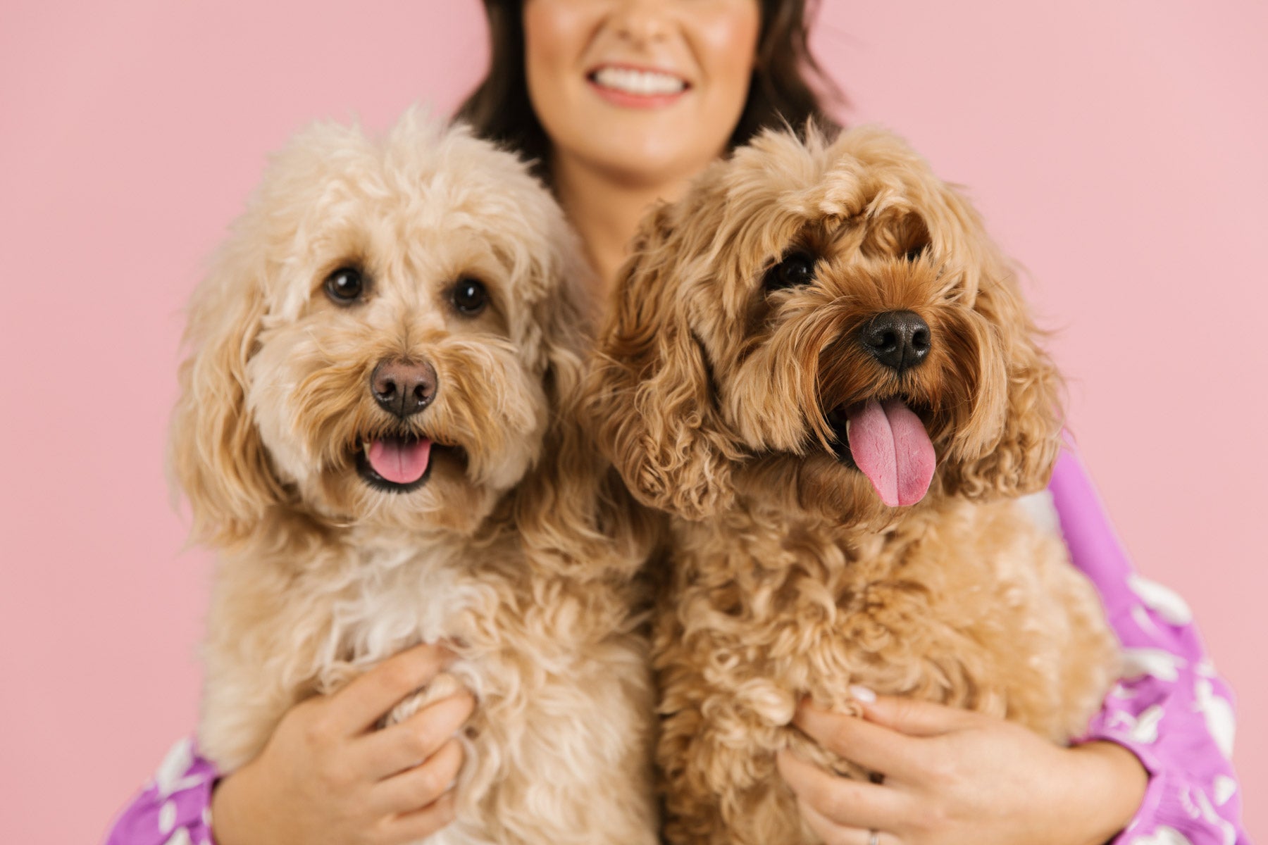 Puppy's First Groom: Essential Tips for a Stress-Free Experience
