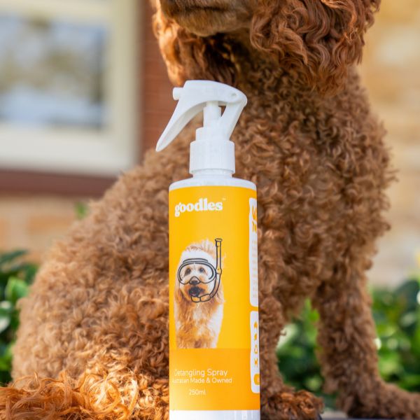 5 Reasons Every Oodle Owner Needs a Detangling Spray