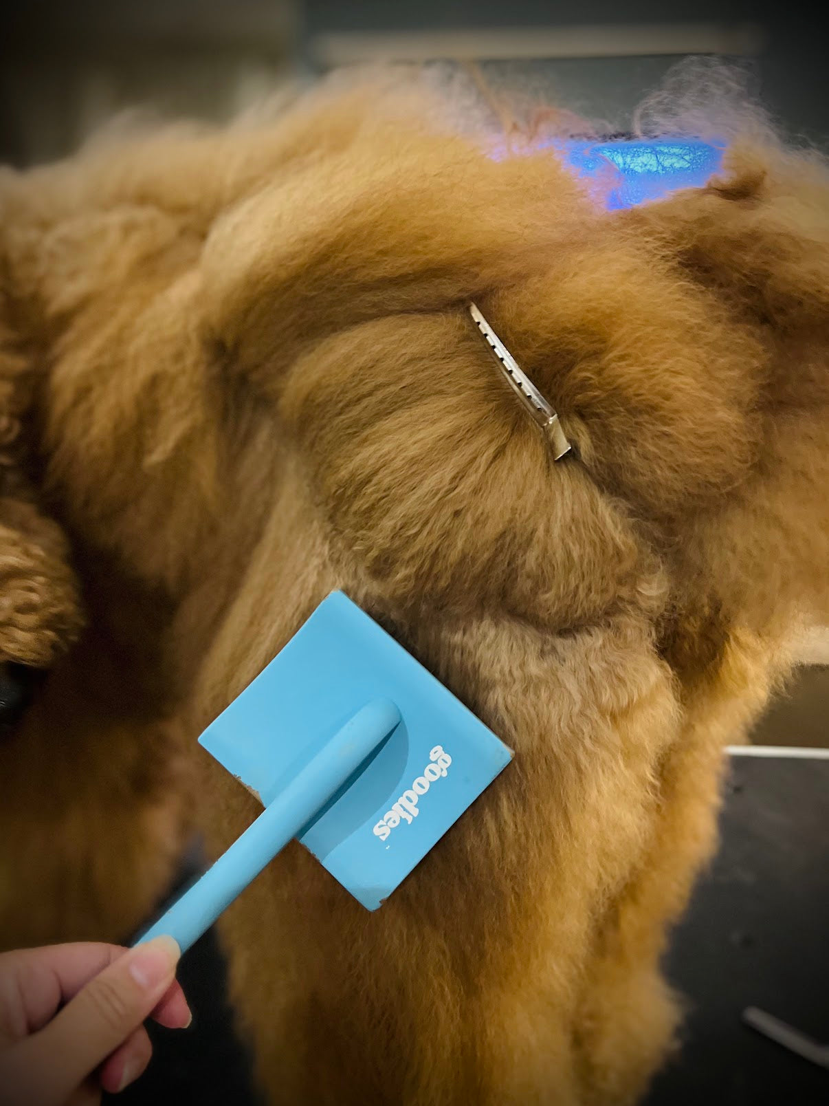 Everything You Need To Know On Slicker Brushes