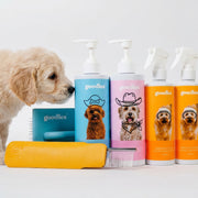Tangle Tamer Bundle