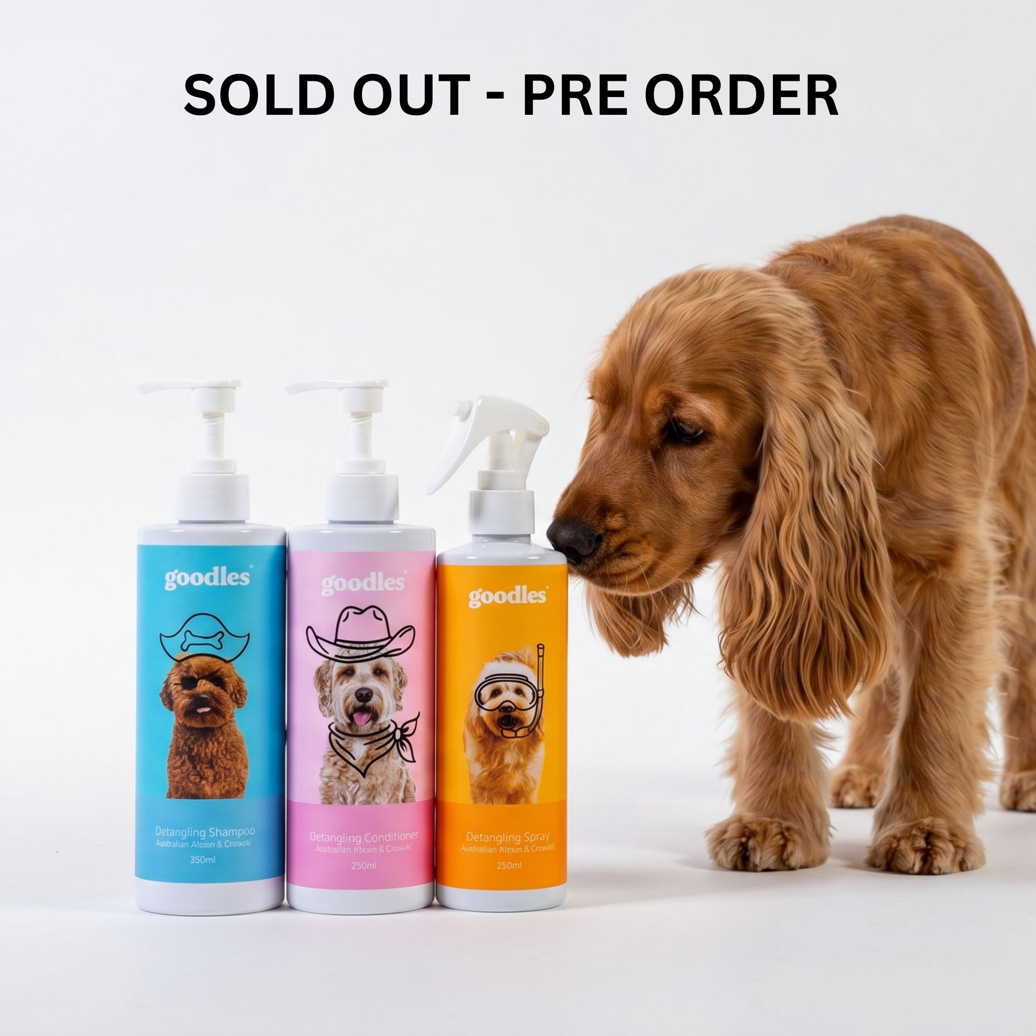 Curl Care Routine Bundle