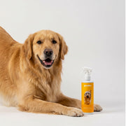 Dog Detangling Spray for Knots, Matted Fur & Daily Grooming (Oodles & Long Hair)