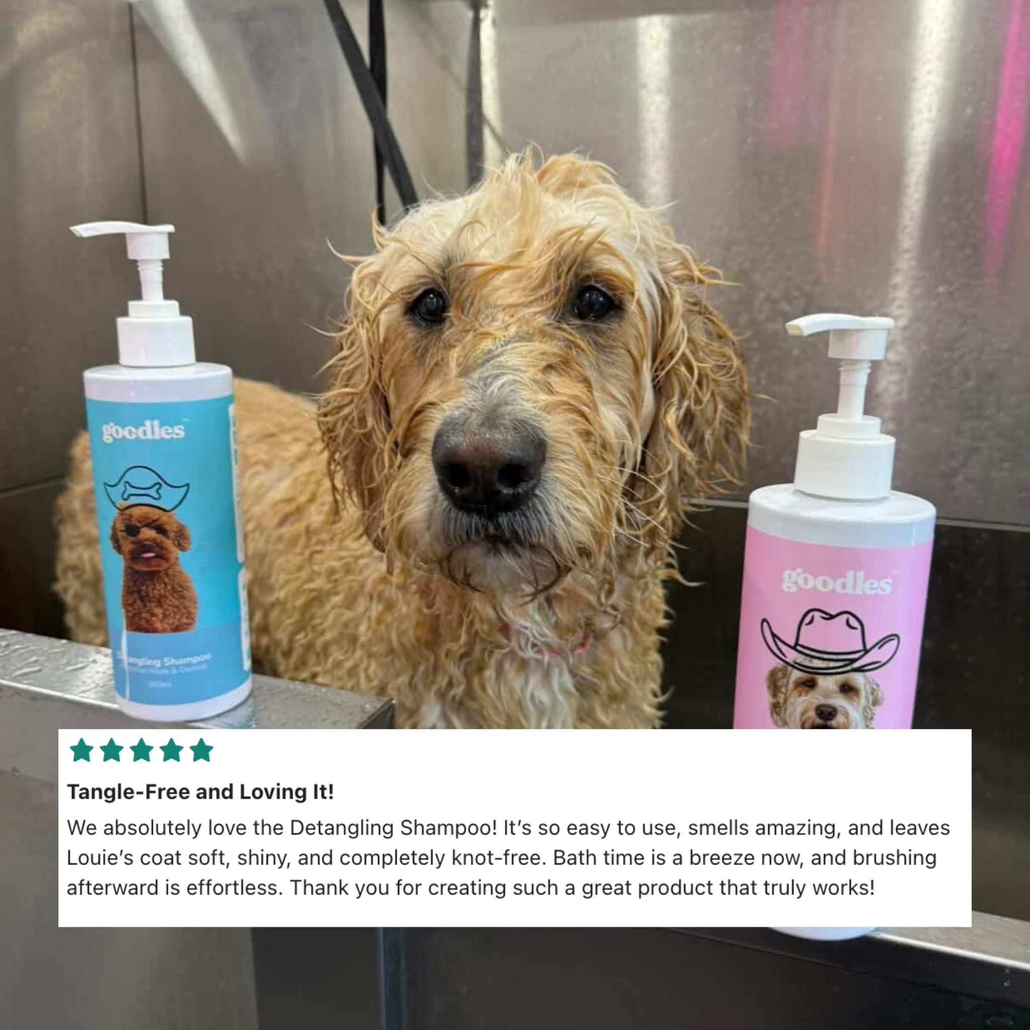 Dog Detangling Shampoo for Matted Fur, Knots & Curly Coats (Oodles + Long Hair)