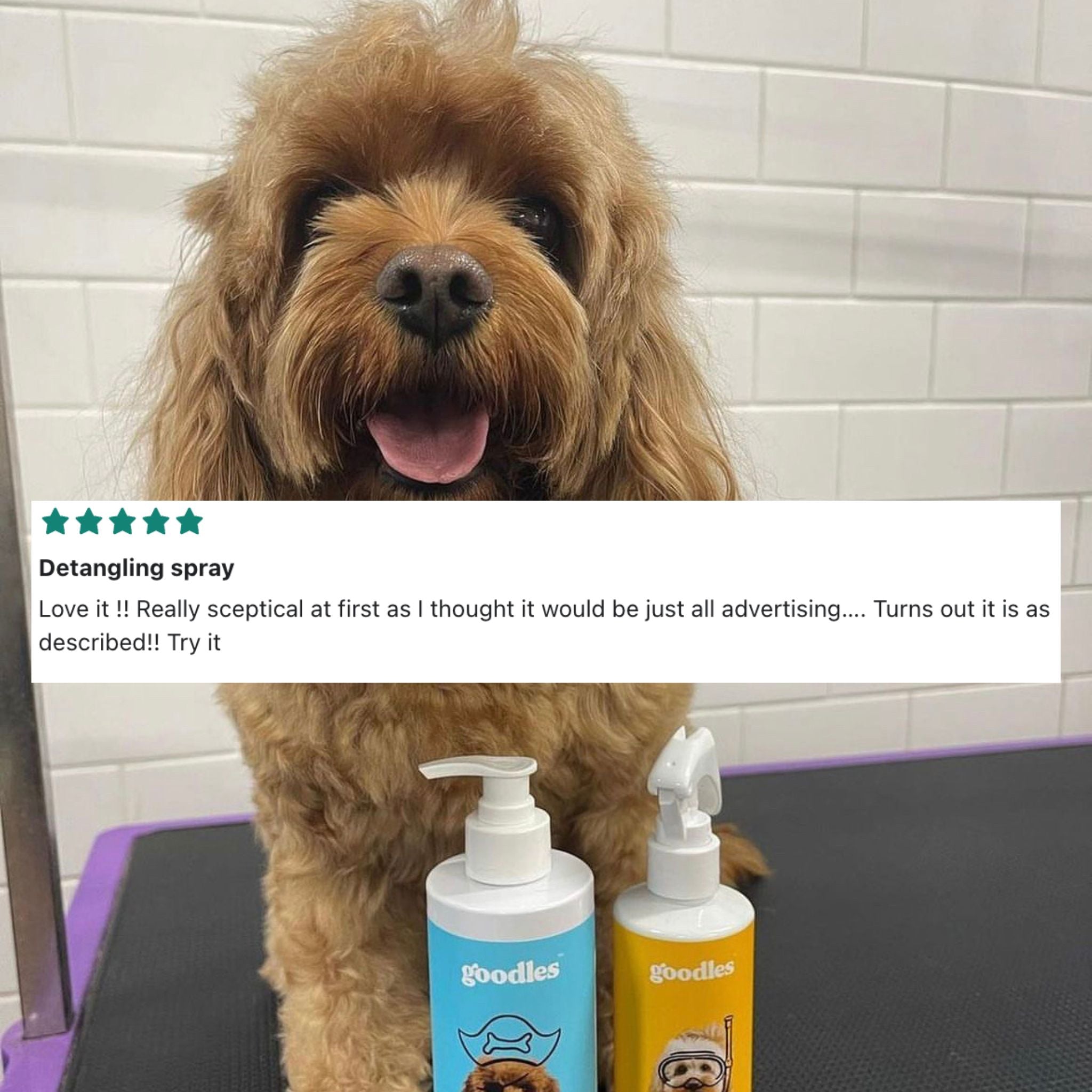 Dog Detangling Spray for Knots, Matted Fur & Daily Grooming (Oodles & Long Hair)