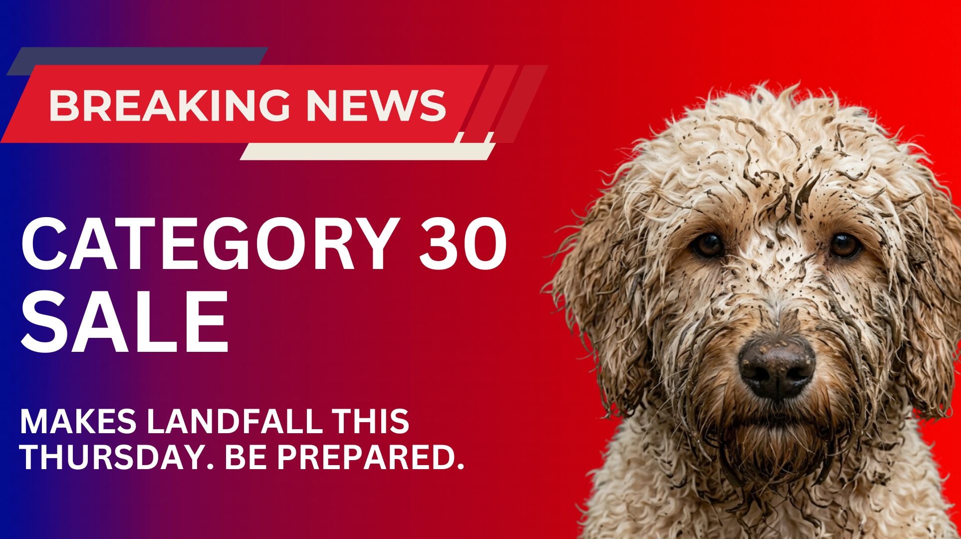 goodles.com.au 