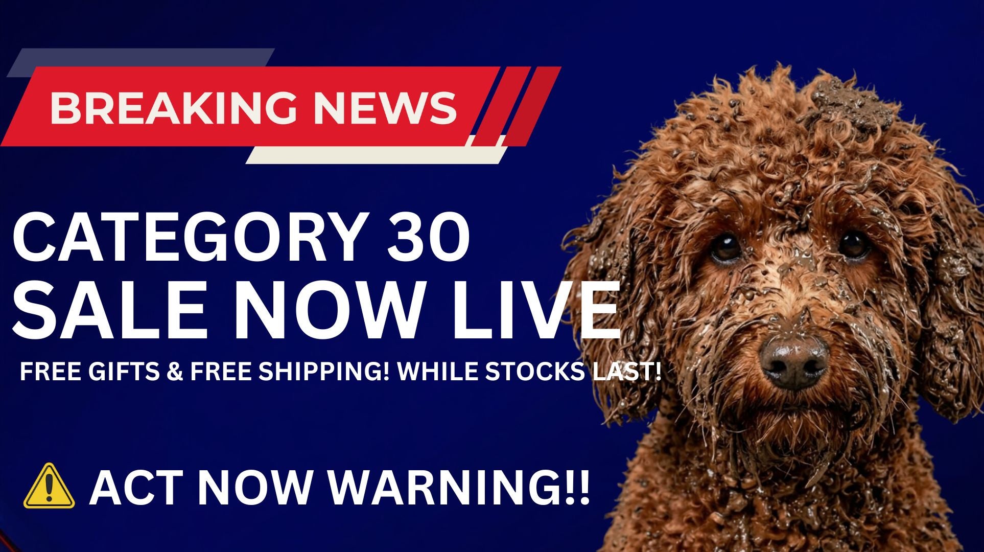 goodles.com.au 