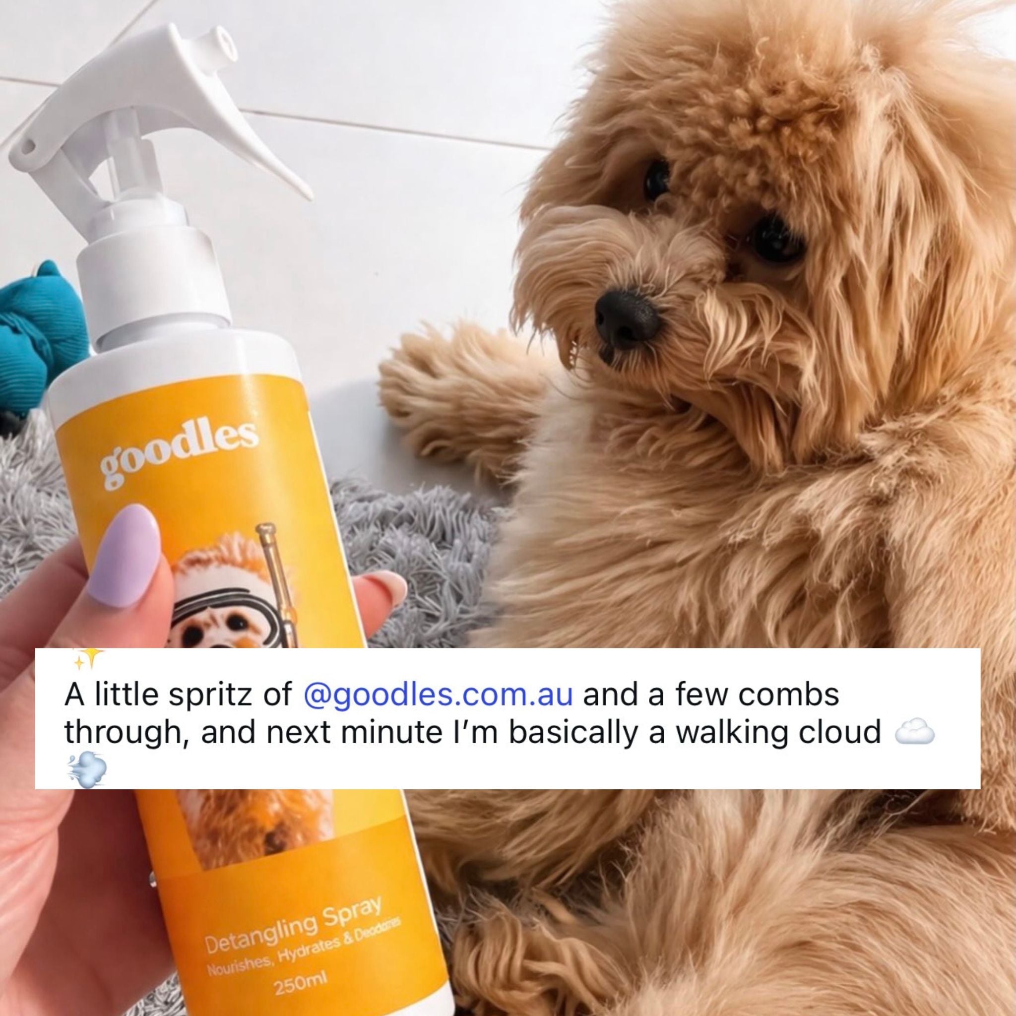 Dog Detangling Spray for Knots, Matted Fur & Daily Grooming (Oodles & Long Hair)